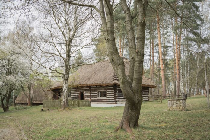 Polscy chłopi donosili na siebie nawzajem. To nie był wyjątek — to był system