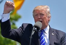 Zapadła decyzja w sprawie Grenlandii. Trump jest zadowolony ELIGERE.PL | Donald Trump, który na początku roku sugerował konieczność przejęcia wyspy, określił Duńczyków i Grenlandczyków mianem wspaniałych ludzi. Foto: Pixabay