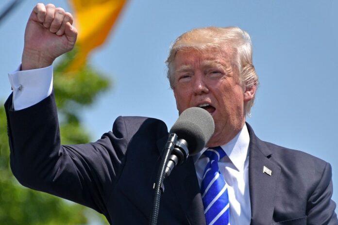 ELIGERE.PL | Donald Trump, który na początku roku sugerował konieczność przejęcia wyspy, określił Duńczyków i Grenlandczyków mianem wspaniałych ludzi. Foto: Pixabay