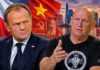 Żebrowski uderza w Tuska po wizycie w Wietnamie. „Ciągoty ma nieskrywane” ELIGERE.PL | Donald Tusk i Leszek Żebrowski. Foto: AI