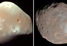 Japonia prowadzi specjalną misję. Cel: zdobycie próbki z księżyca Marsa ELIGERE.PL | Księzyce Marsa: Deimos i Fobos. Foto: Pixabay/Domena Publiczna