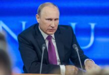 Kontakty Finlandii i Norwegii z Putinem dzielą Europę ELIGERE.PL. Władimir Putin. Foto: Pixabay